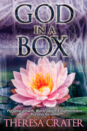 God in a Box by Theresa Crater