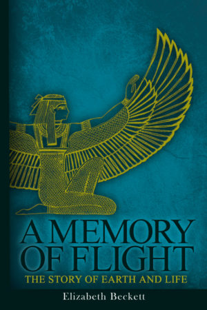 A Memory of Flight by Elizabeth Beckett